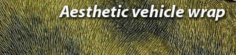 Aesthetic